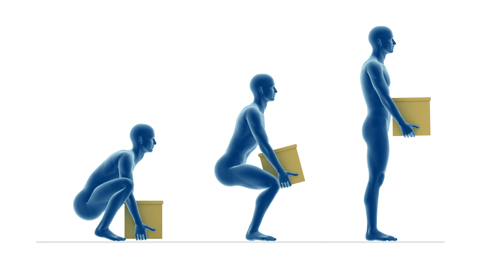 Objective Functional Capacity Assessment using Xsens MVN System