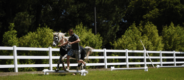 World’s first 3D inertial motion capture of a horse in motion