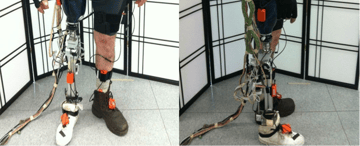 Study of Effects of Intent Recognition Errors on Neural Control of Powered Lower Limb Prostheses