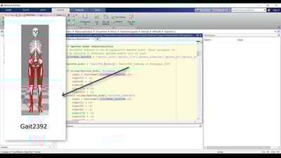 Import motion data into OpenSim