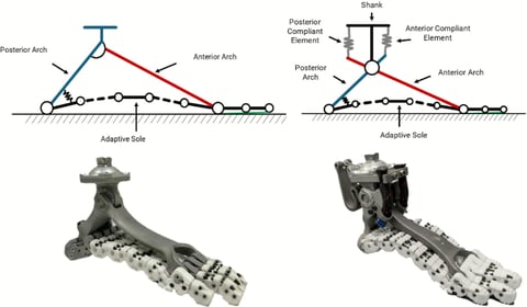 The softfoot pro at the cybathlon: kinematic, metabolic, and user performance evaluation