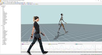Biomechanical Analysis of Gait in Forestry Environments: Implications for Movement Stability and Safety