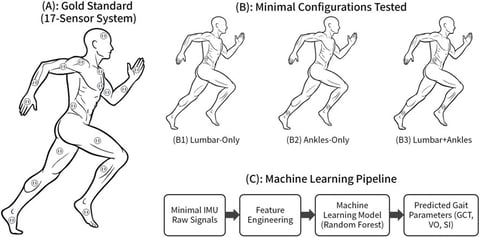 Optimizing wearable IMU configurations for running gait analysis: a machine learning-based sensor fusion approach