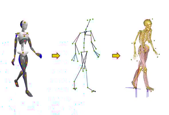 Image of animation showing character rigging and skeleton