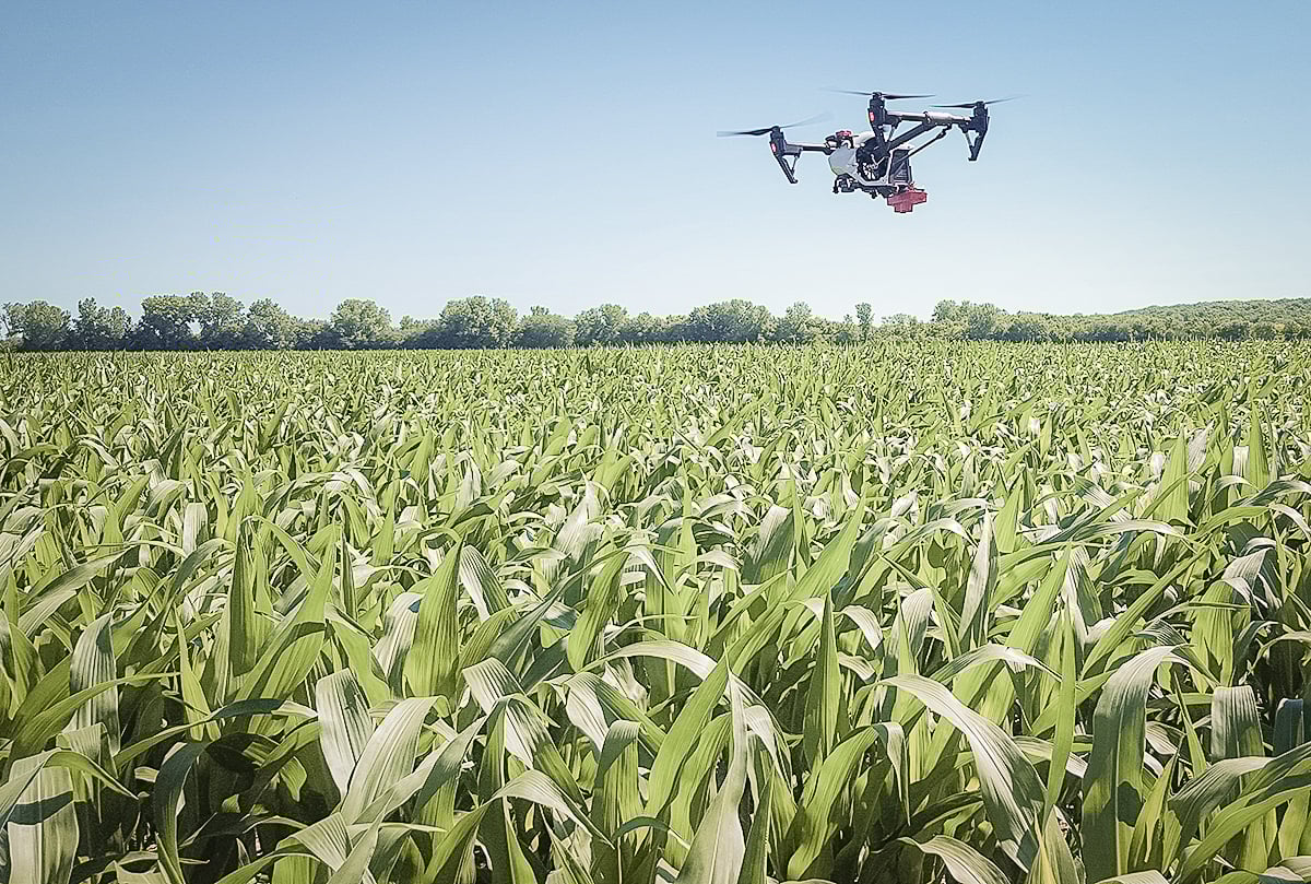 Drone - agriculture