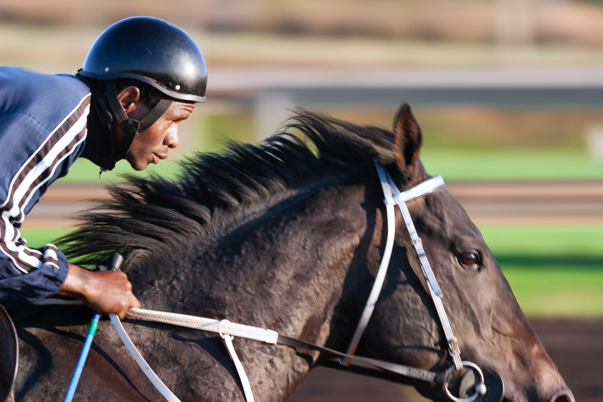 Gait analysis with Xsens wireless motion trackers to prevent injuries on race horses