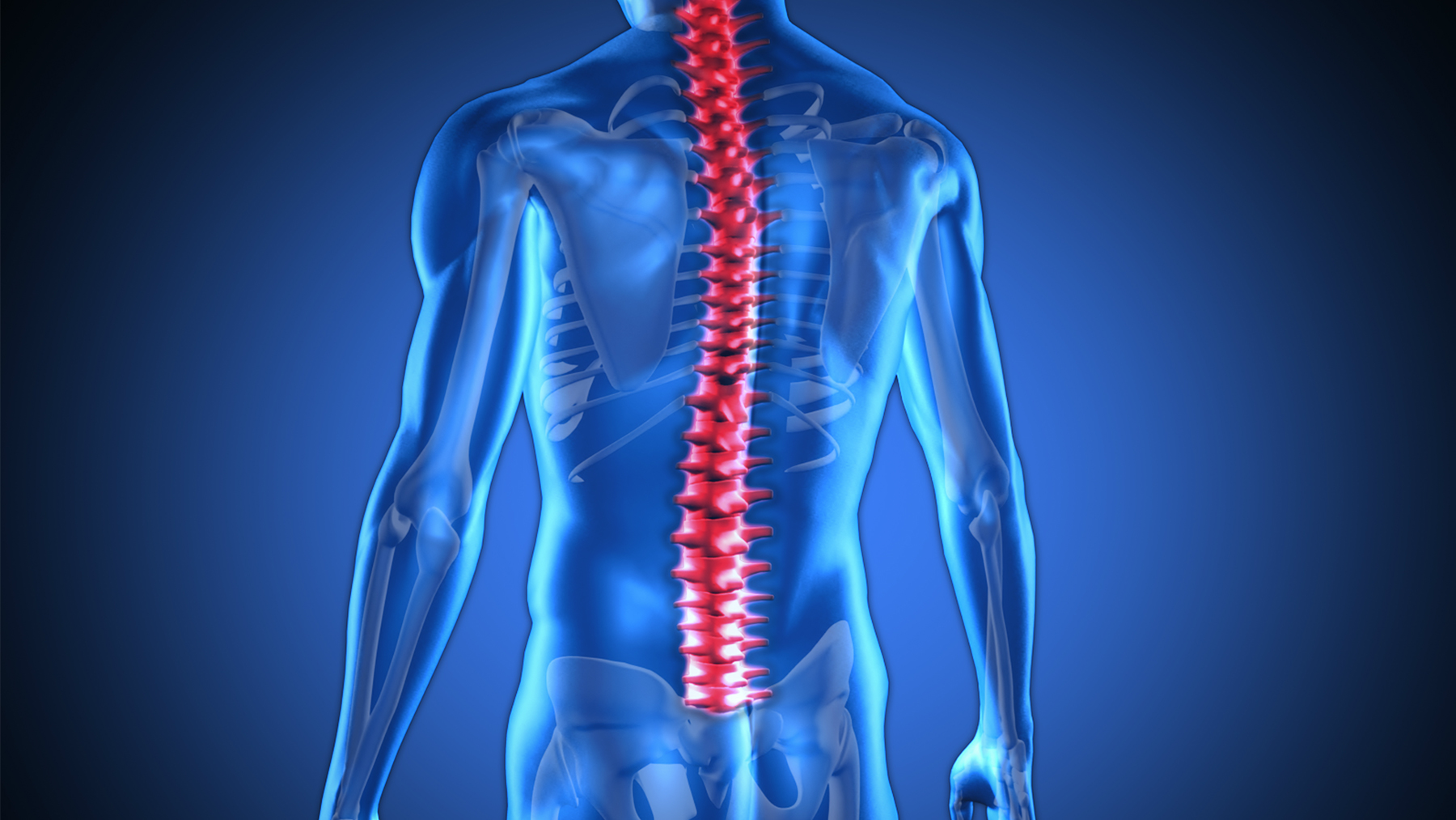 Estimation of spinal loading during manual materials handling